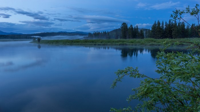 Misty River at Dawn