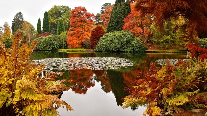 Autumn lake with colorful trees and reflections