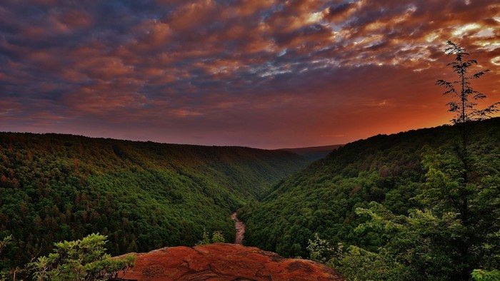 Sunset over a forested valley