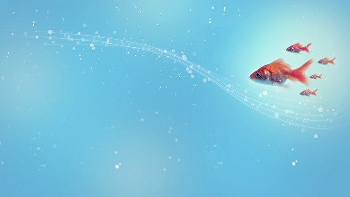 Goldfish swimming in blue water with light streaks