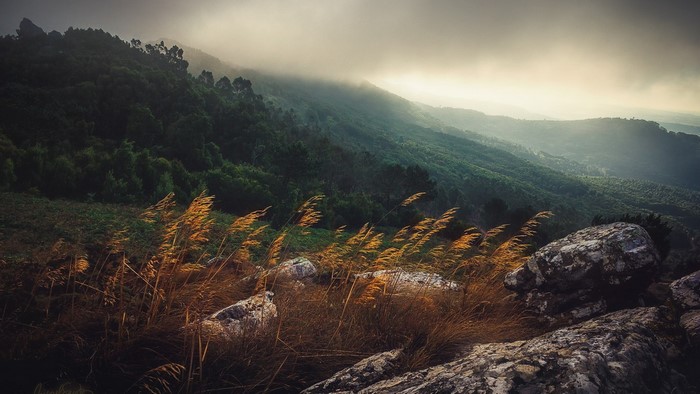 Grassy hill overlooking misty mountains