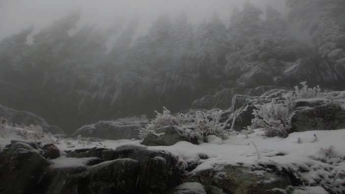 Foggy mountain landscape with snow-covered rocks and trees