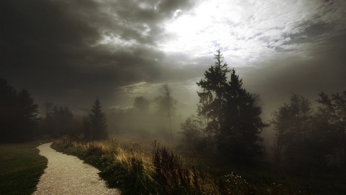 A foggy forest path with dramatic clouds