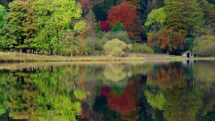 Autumn forest reflected in a calm lake