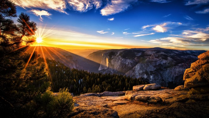 Sunrise over Yosemite Valley with pine trees