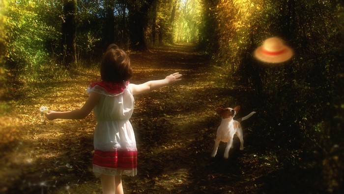 Girl and dog in a sunlit forest path