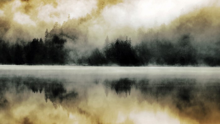 Misty lake with forest reflection