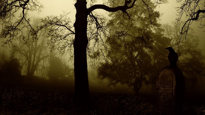 Raven on a tombstone in a foggy forest