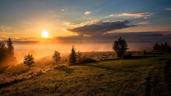 Sunrise over a misty valley with trees