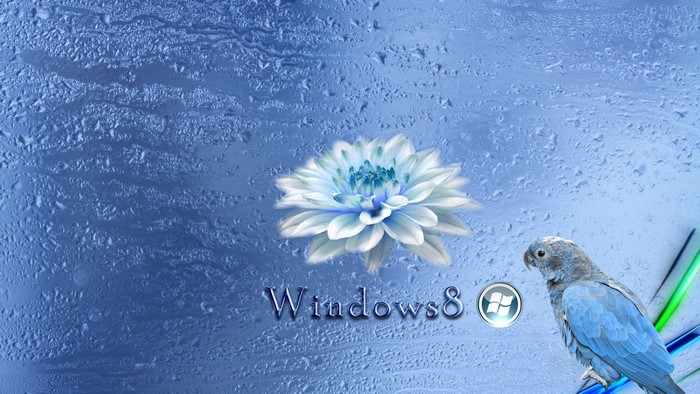 4K Windows 8 Blue Bird and Flower