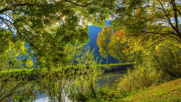 4K Nature Landscape with Trees and River