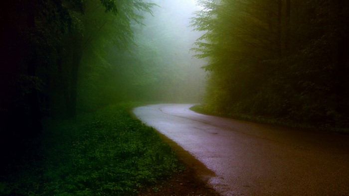 Winding road through a foggy forest