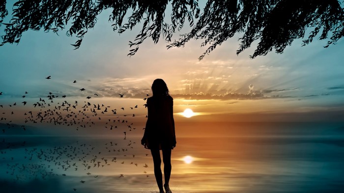 Silhouette of a woman at sunset with birds flying
