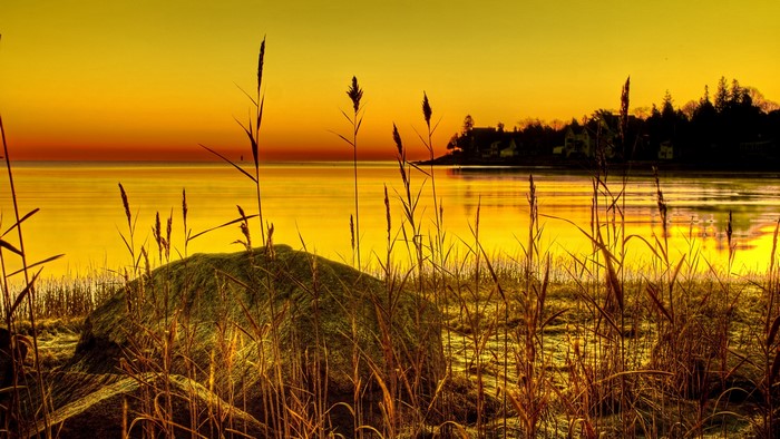 4K Sunset Over Water with Reeds and Rock