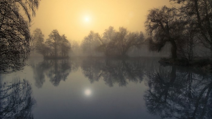 Misty lake with trees and sun reflection