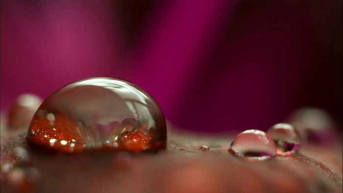 Macro shot of water droplets on a red surface