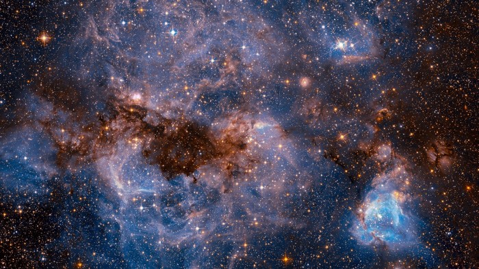 The Large Magellanic Cloud