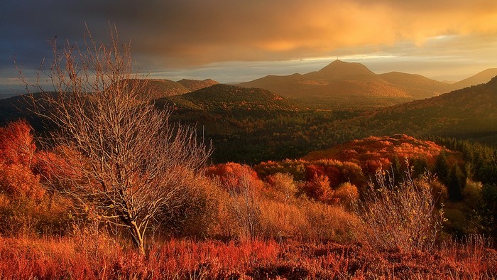 Autumn landscape with rolling hills and a distant mountain