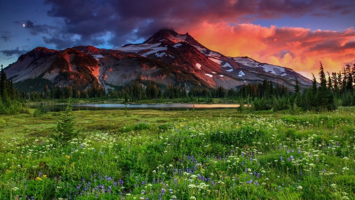 Mountain peak at sunset with wildflowers and lake