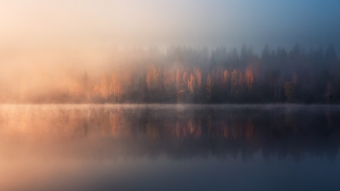 Misty lake with autumn trees and reflection
