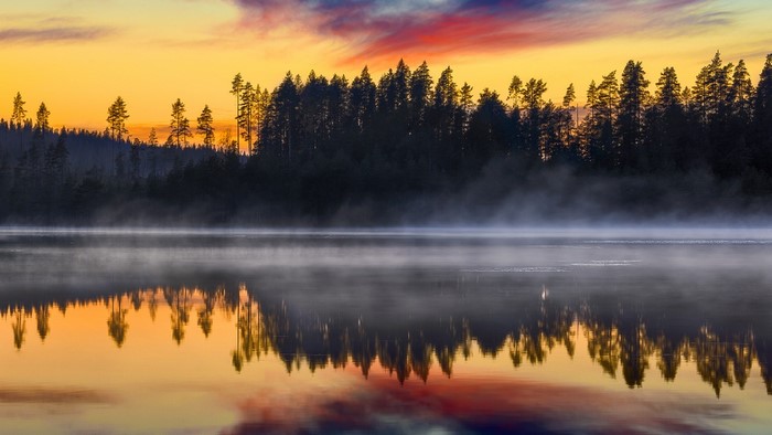Misty lake at sunrise with forest reflection