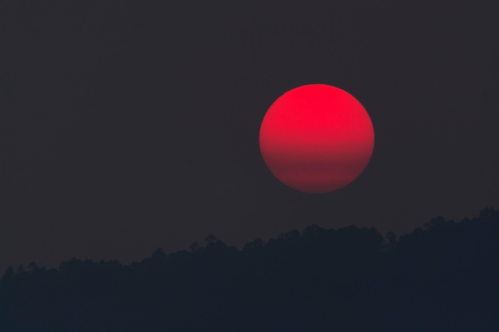 4K Red Sunset Over Forest