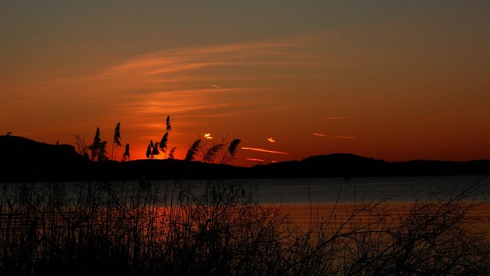 Sunset over a lake with reeds