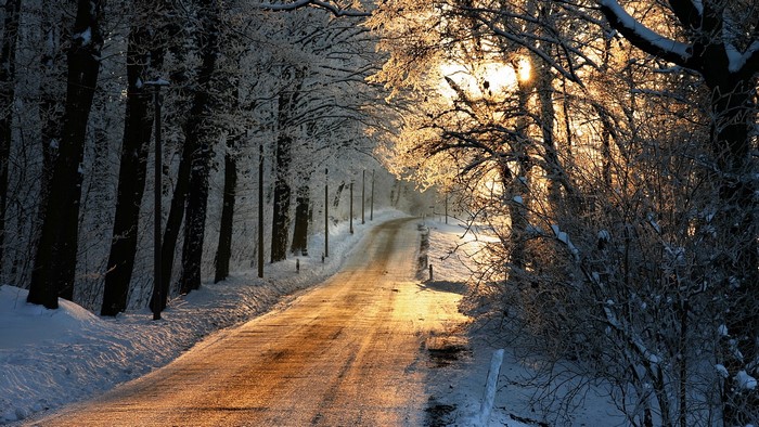Winter road through a snow-covered forest at sunrise