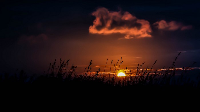 Sunset over a field of grass