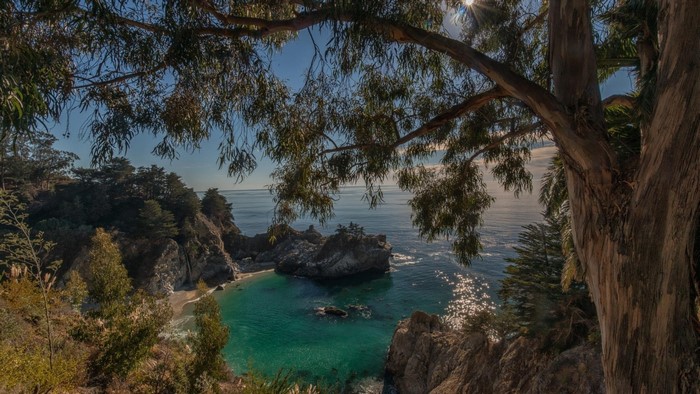 Coastal Bay with Trees and Ocean