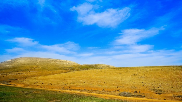 Vast steppe under a bright blue sky with scattered clouds