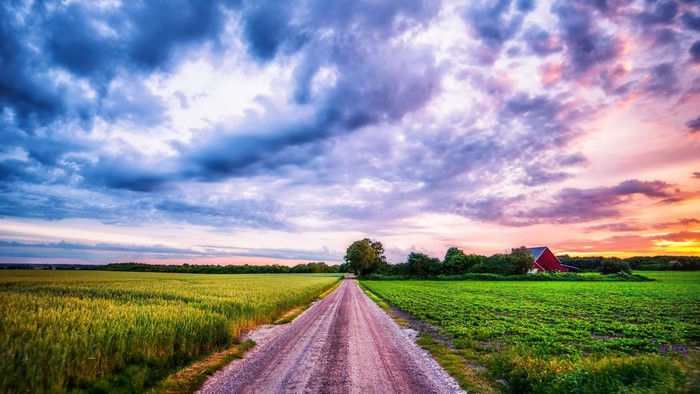 Dirt Road Through Fields at Sunset