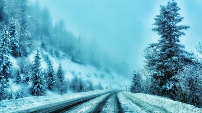 Snowy road through a winter forest