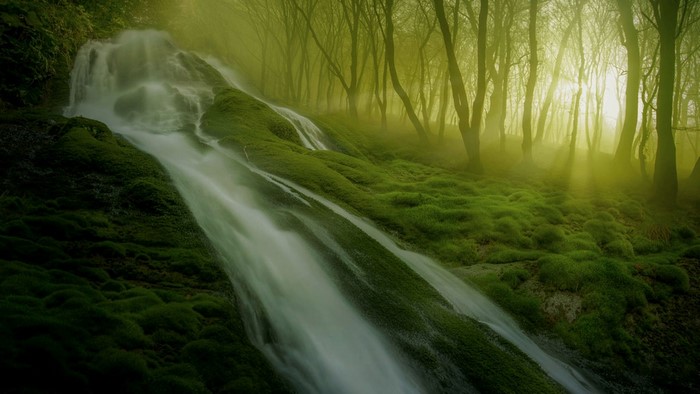 Uchansu Waterfall in a Misty Forest