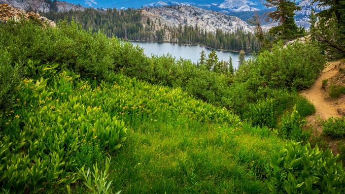 Lake and Mountains in Yosemite National Park