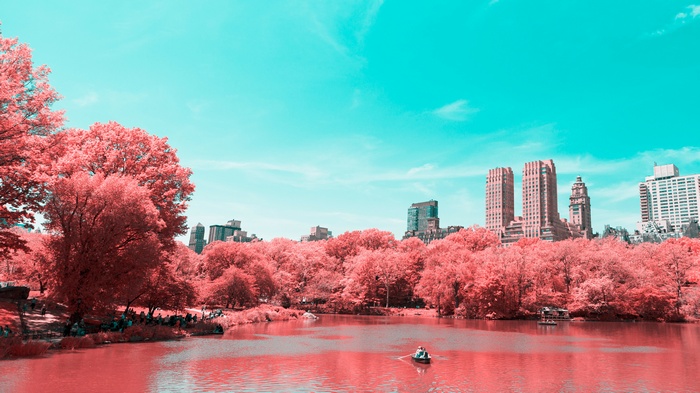 Central Park, Manhattan, New York City, Infrared
