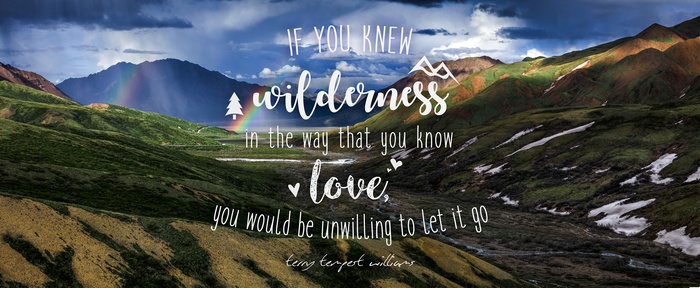 Quote about wilderness and love over a mountain landscape