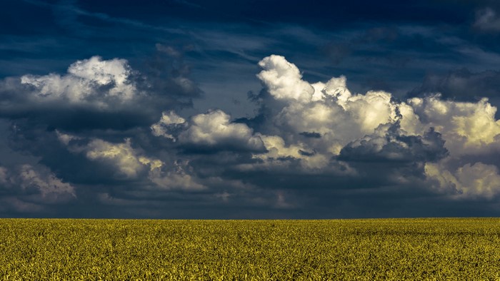 4K Clouds Over Golden Field