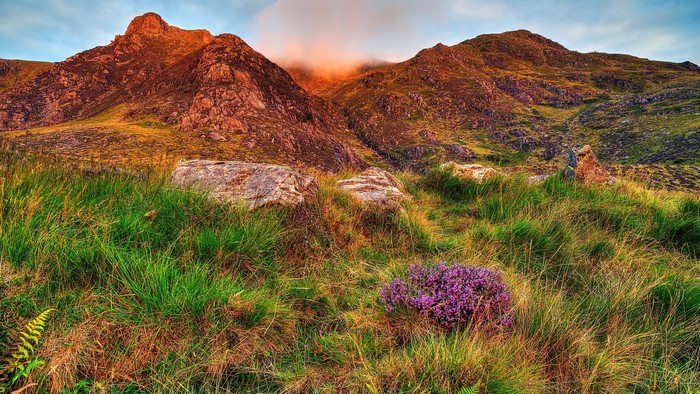 Mountain landscape with heather and rocks