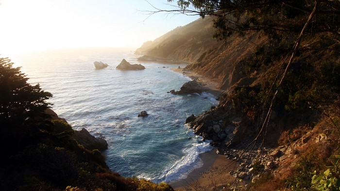 Ocean waves crash on a rocky shore with trees