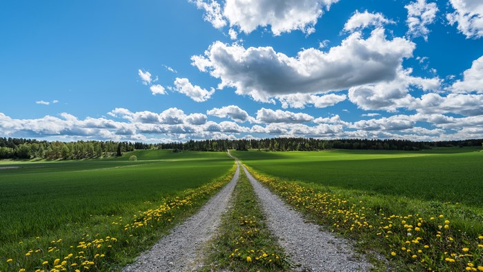 4K Country Road Through Green Fields