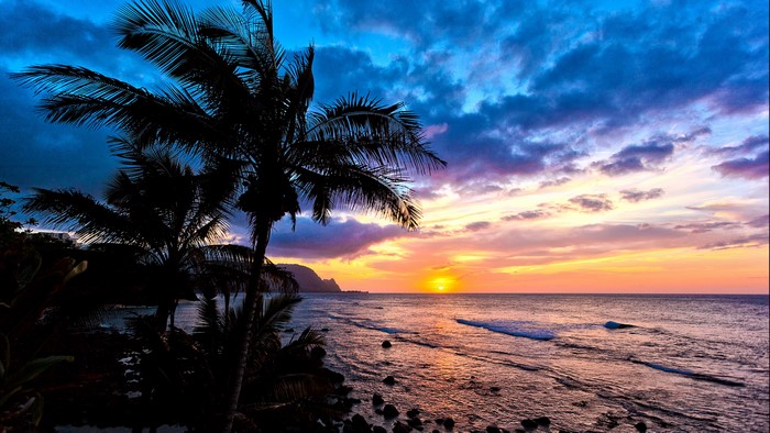 4K Palm Trees at Sunset Over Ocean