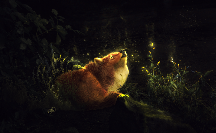 Fox in an enchanted forest at night