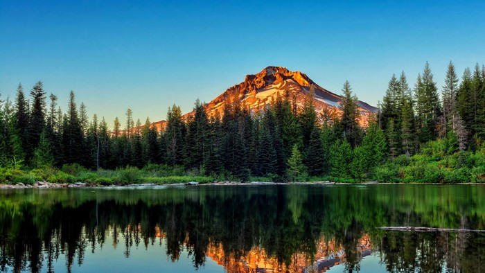Mountain reflected in a lake with pine trees