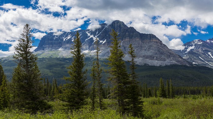 4K Nature Landscape with Mountains and Trees