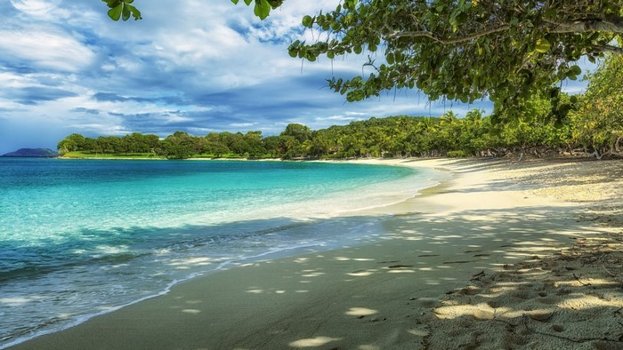 Tropical beach with turquoise water and green trees
