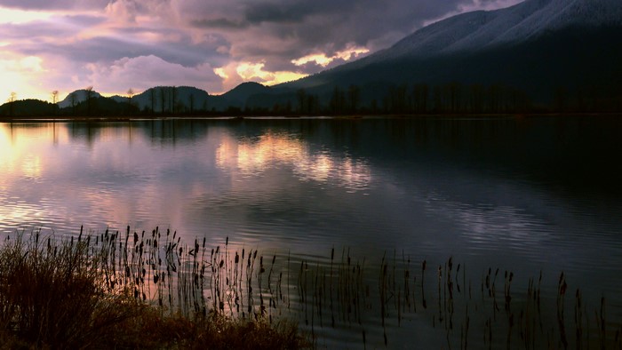 4K Lake with Mountains and Reeds