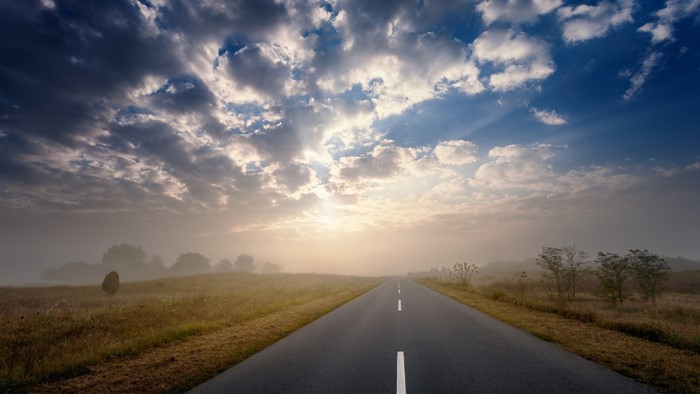 Road through a misty field at sunrise