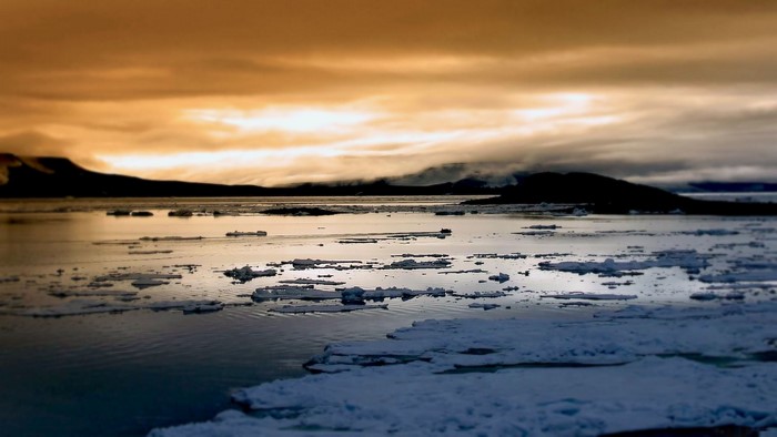 Ice floes on the water at sunset