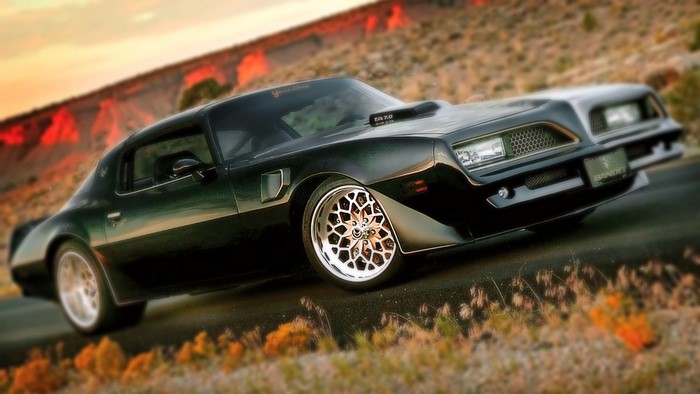 Black Pontiac Trans Am Bandit Edition Car